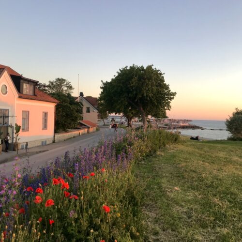 Discover the Essence of Gotland at Villa Alma – A Scandinavian Gem